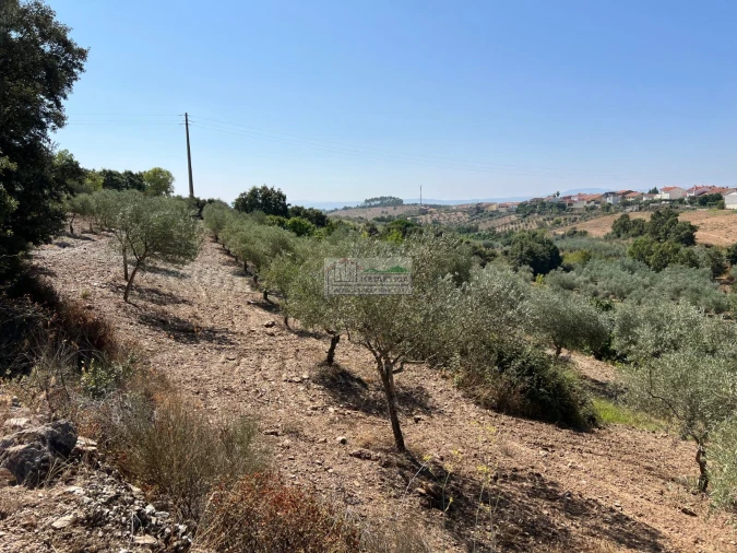 Quinta para Venda em Alfandega da Fe Foto 12