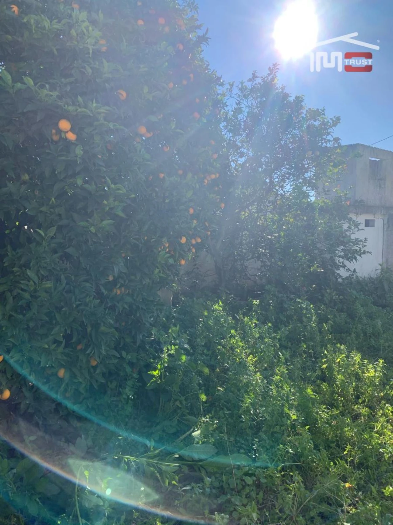 Terreno P/ Prédio para Venda em Montijo e Afonsoeiro Foto 8