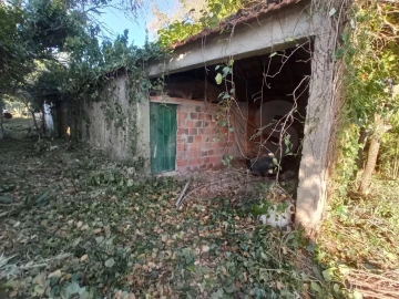 Terreno para Venda em Torres Novas (Santa Maria, Salvador e Santiago)