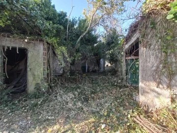 Terreno para Venda em Torres Novas (Santa Maria, Salvador e Santiago)