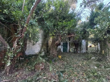 Terreno para Venda em Torres Novas (Santa Maria, Salvador e Santiago)