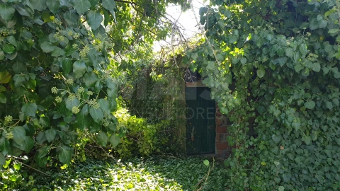 Terreno para Venda em Torres Novas (Santa Maria, Salvador e Santiago)