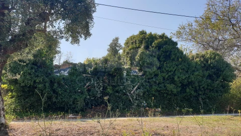 Terreno para Venda em Torres Novas (Santa Maria, Salvador e Santiago)