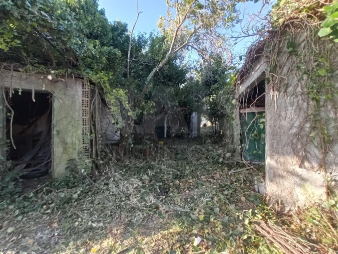 Terreno para Venda em Torres Novas (Santa Maria, Salvador e Santiago) Foto 3