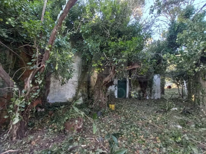 Terreno para Venda em Torres Novas (Santa Maria, Salvador e Santiago) Foto 4