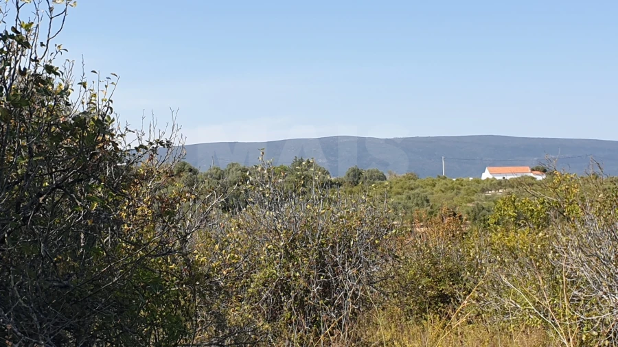 Terreno para Venda em Torres Novas (Santa Maria, Salvador e Santiago) Foto 5
