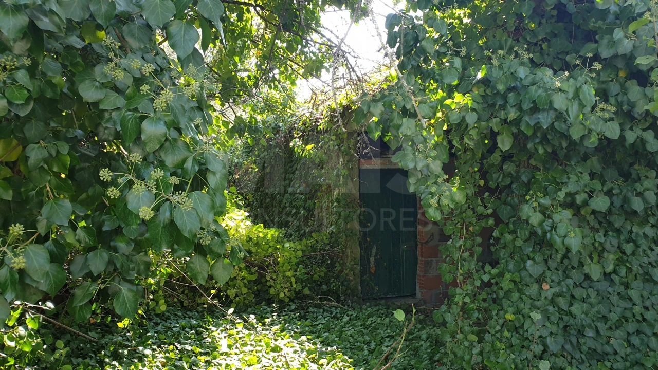 Terreno para Venda em Torres Novas (Santa Maria, Salvador e Santiago) Foto 4
