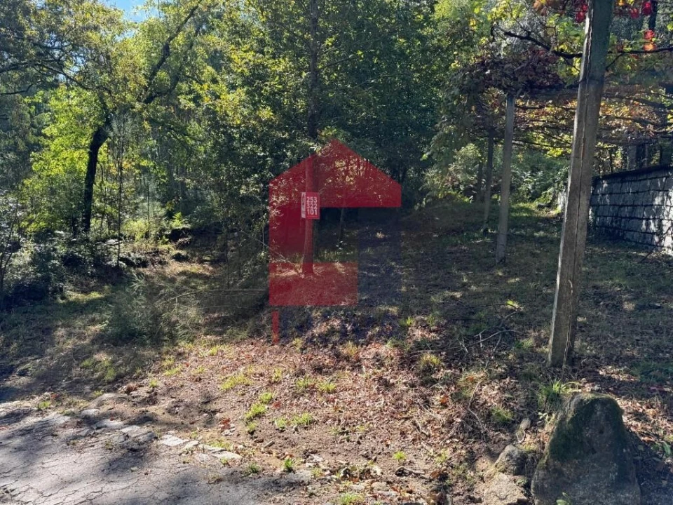 Terreno para Venda em Oriz (Santa Marinha) e Oriz (São Miguel) Foto 9
