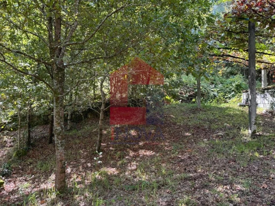 Terreno para Venda em Oriz (Santa Marinha) e Oriz (São Miguel) Foto 6