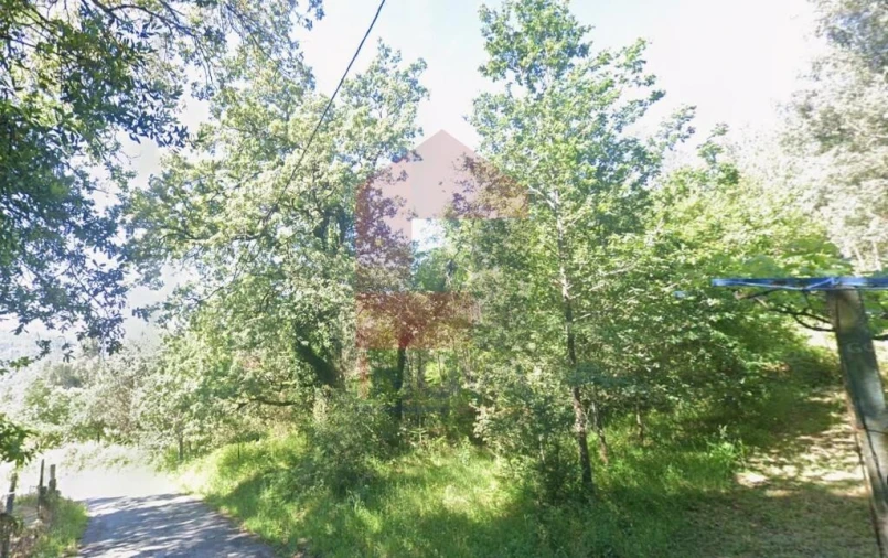 Terreno para Venda em Oriz (Santa Marinha) e Oriz (São Miguel) Foto 12