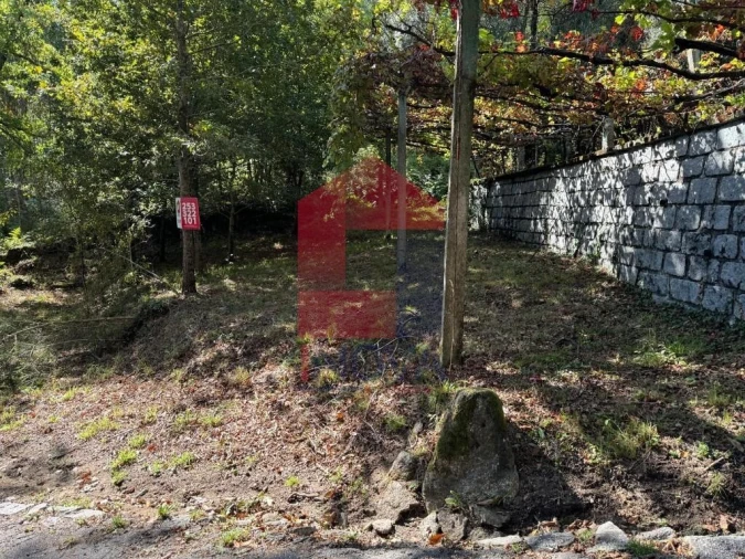 Terreno para Venda em Oriz (Santa Marinha) e Oriz (São Miguel) Foto 3