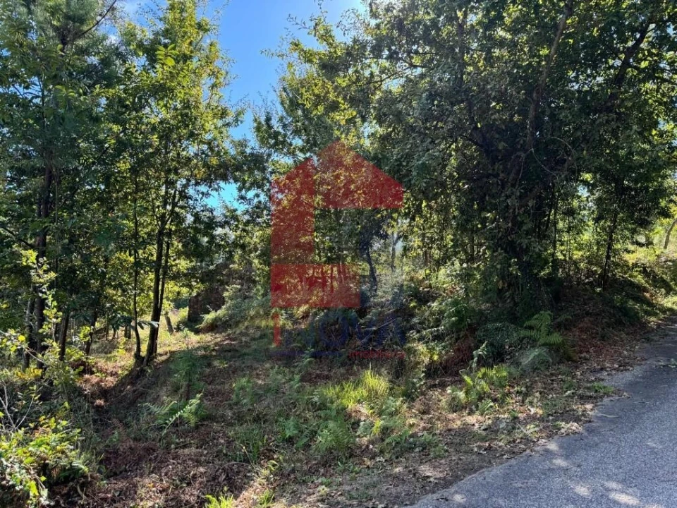 Quinta para Venda em Oriz (Santa Marinha) e Oriz (São Miguel) Foto 20