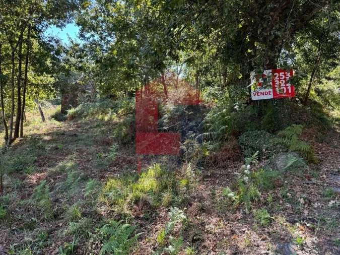 Quinta para Venda em Oriz (Santa Marinha) e Oriz (São Miguel) Foto 13
