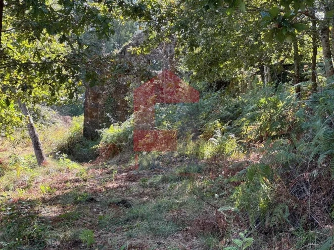 Quinta para Venda em Oriz (Santa Marinha) e Oriz (São Miguel) Foto 12