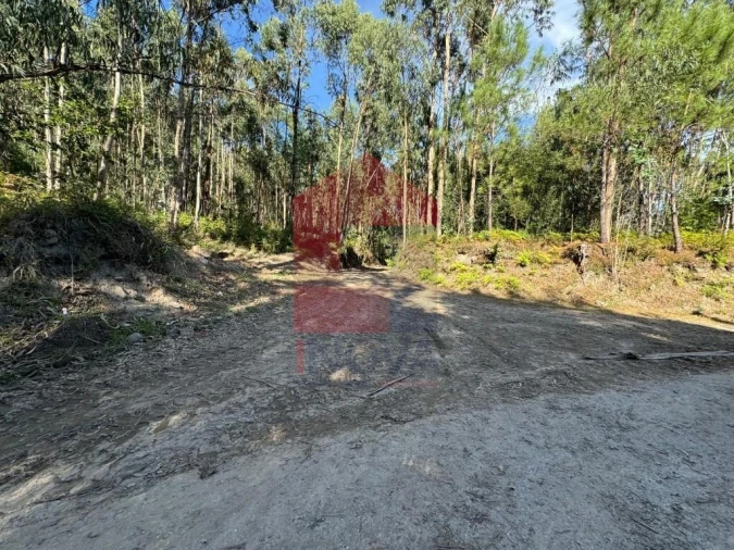 Quinta para Venda em Oriz (Santa Marinha) e Oriz (São Miguel) Foto 15