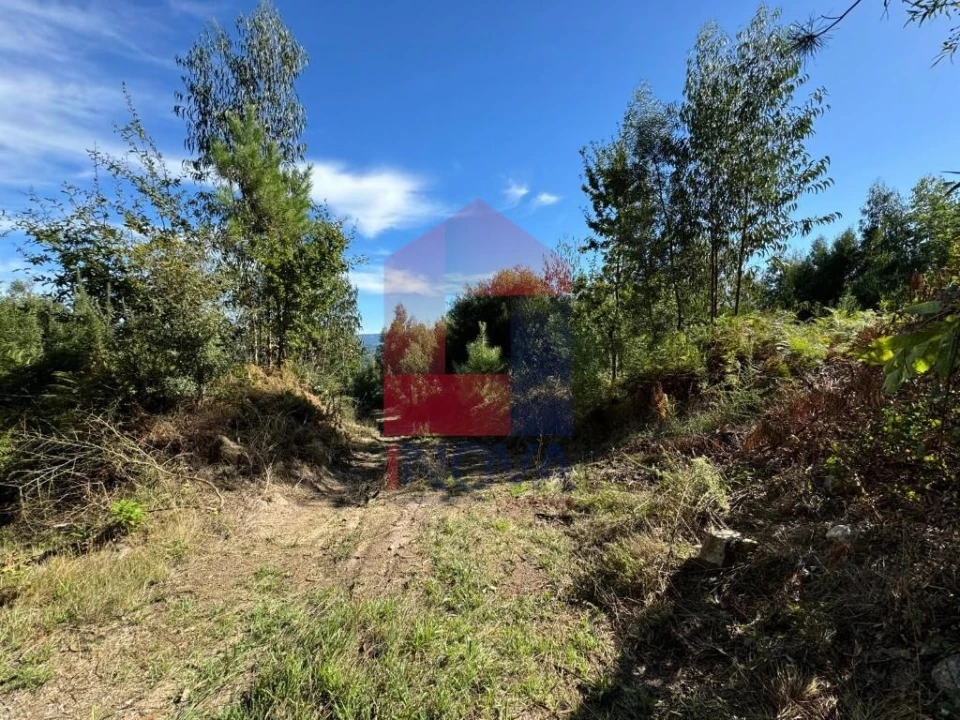 Quinta para Venda em Oriz (Santa Marinha) e Oriz (São Miguel) Foto 11