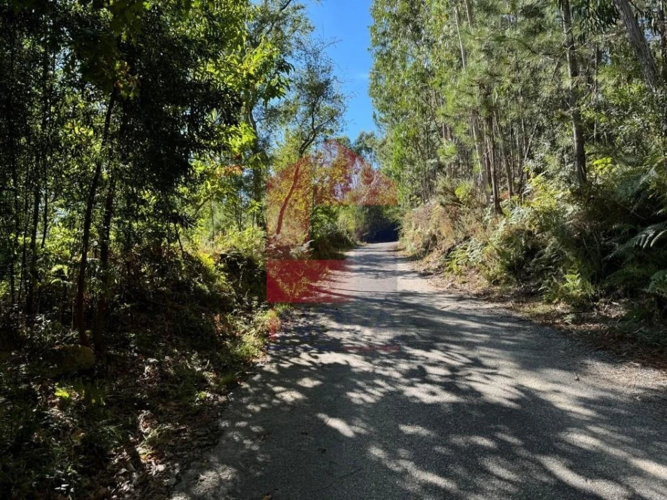 Quinta para Venda em Oriz (Santa Marinha) e Oriz (São Miguel) Foto 18