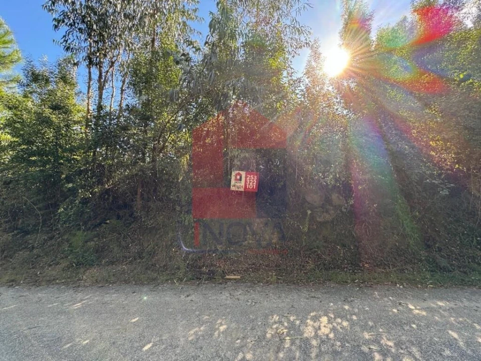 Quinta para Venda em Oriz (Santa Marinha) e Oriz (São Miguel) Foto 23