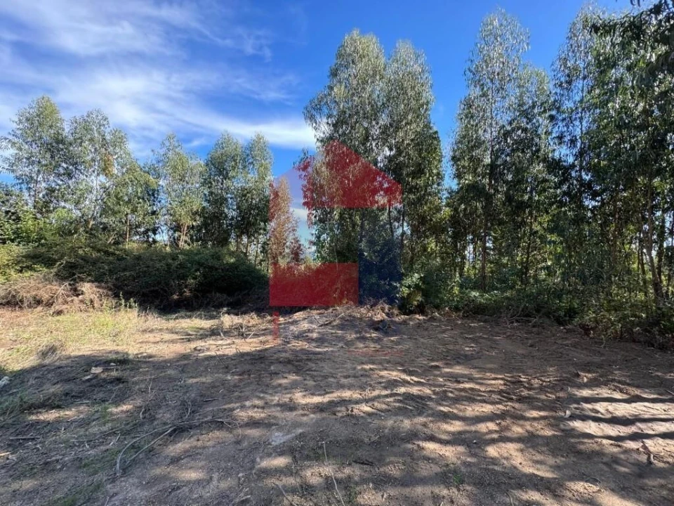Quinta para Venda em Oriz (Santa Marinha) e Oriz (São Miguel) Foto 9
