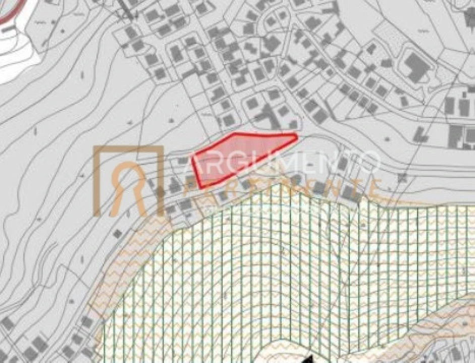 Terreno Agricola ou Rústico para Venda em Rebordões Foto 5