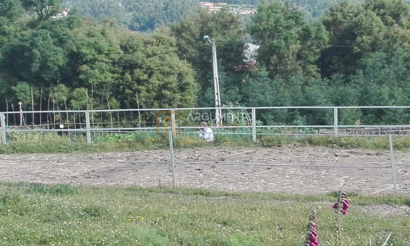 Terreno Agricola ou Rústico para Venda em Rebordões Foto 3
