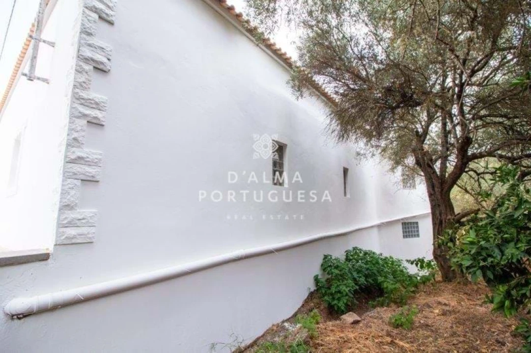 Armazém para Venda em São Bartolomeu de Messines Foto 101