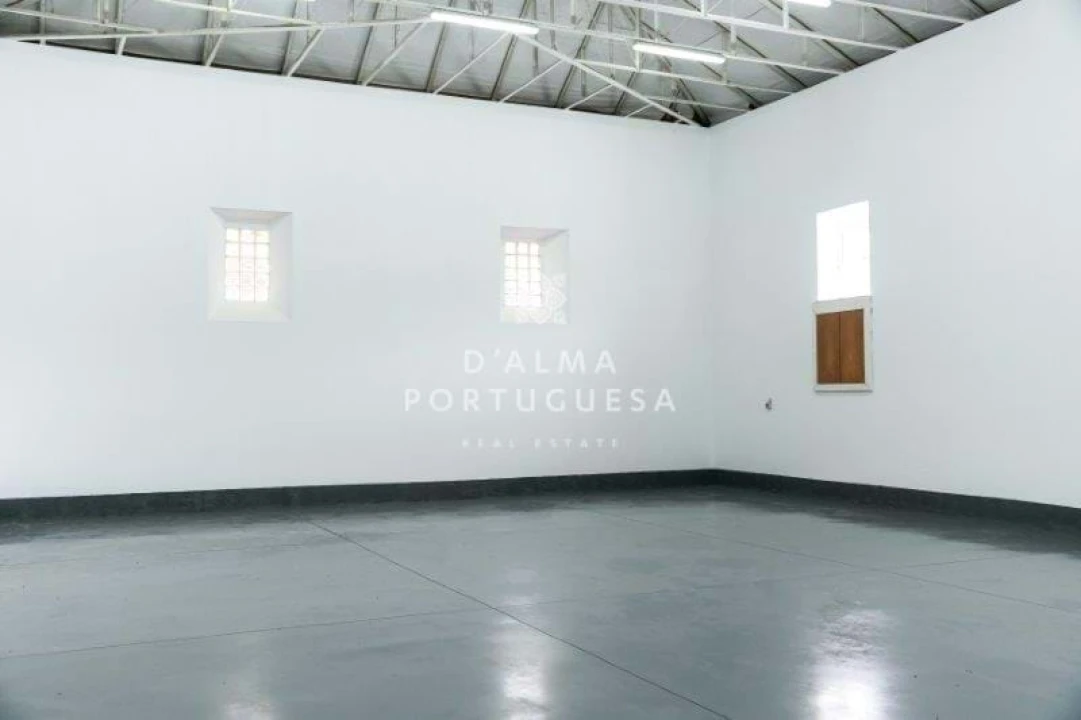 Armazém para Venda em São Bartolomeu de Messines Foto 159