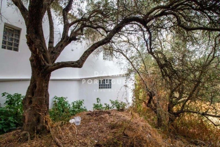 Armazém para Venda em São Bartolomeu de Messines Foto 100