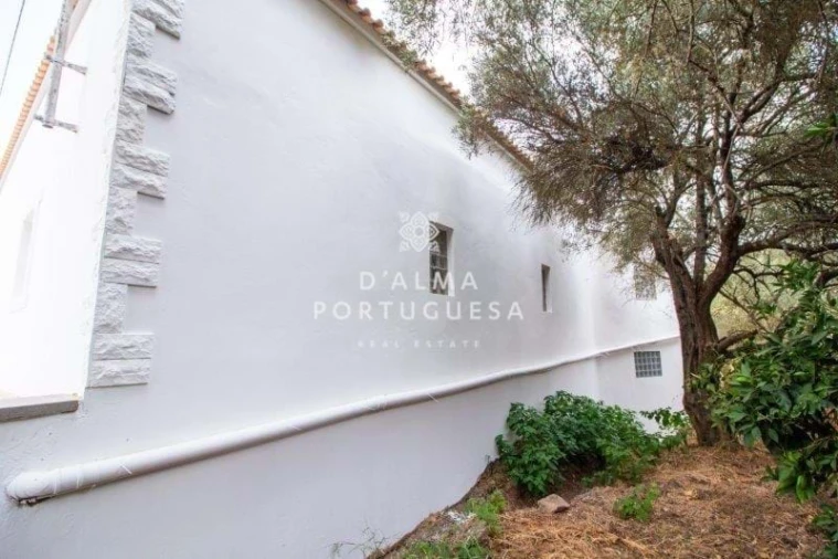 Armazém para Venda em São Bartolomeu de Messines Foto 56