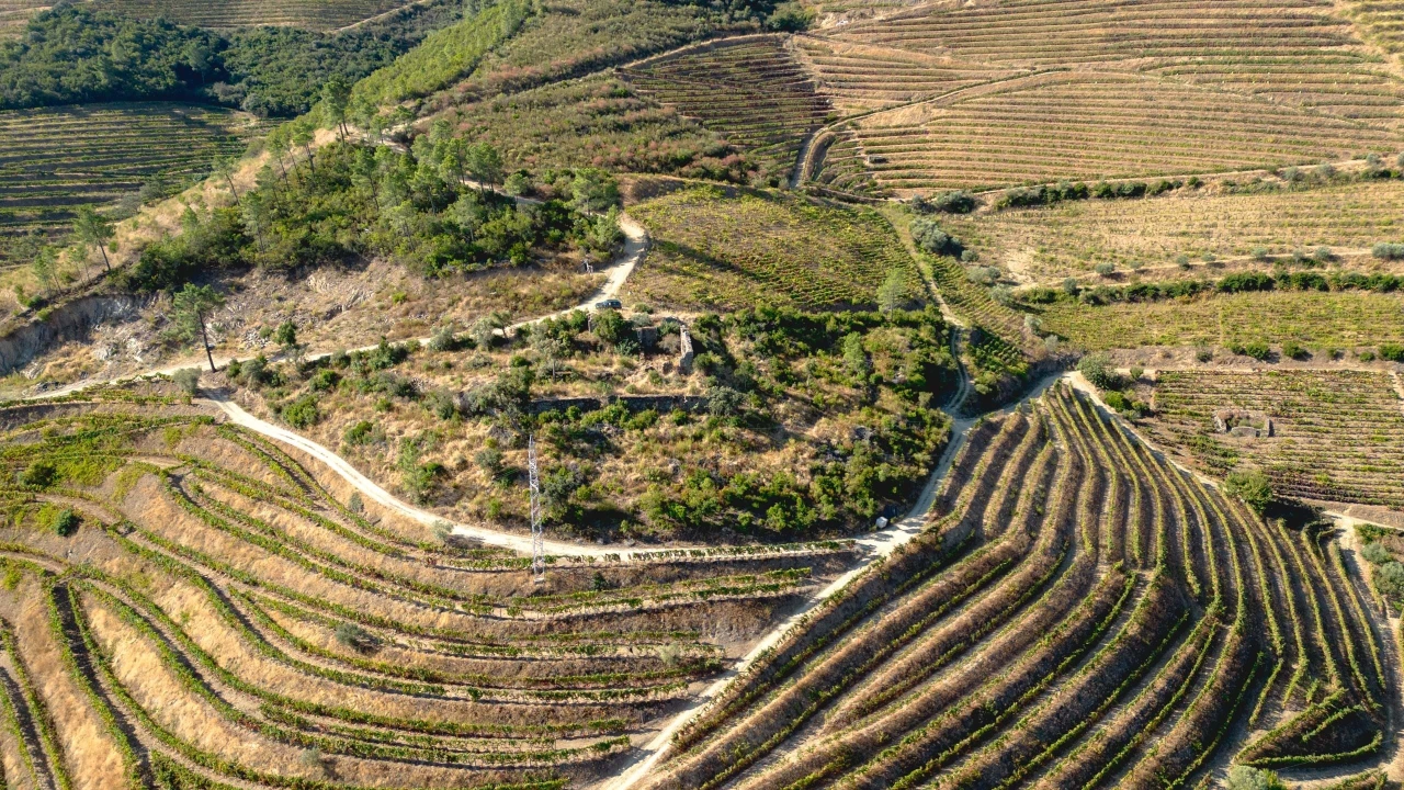 Terreno para Venda em Vila Seca e Santo Adrião Foto 18
