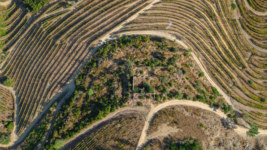Terreno para Venda em Vila Seca e Santo Adrião Foto 14