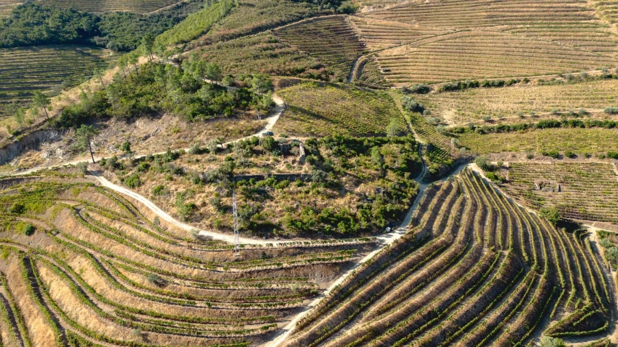Terreno para Venda em Vila Seca e Santo Adrião Foto 18