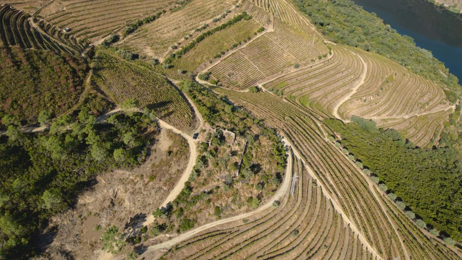 Terreno para Venda em Vila Seca e Santo Adrião Foto 4