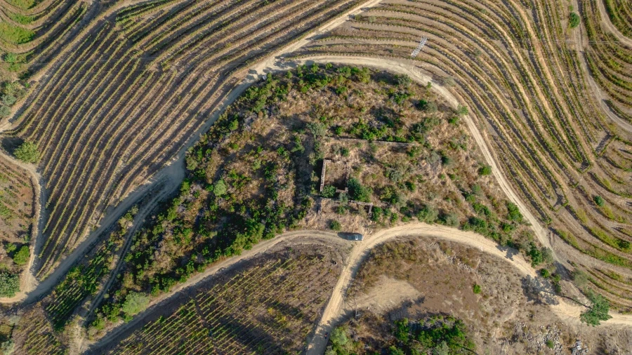 Terreno para Venda em Vila Seca e Santo Adrião Foto 16