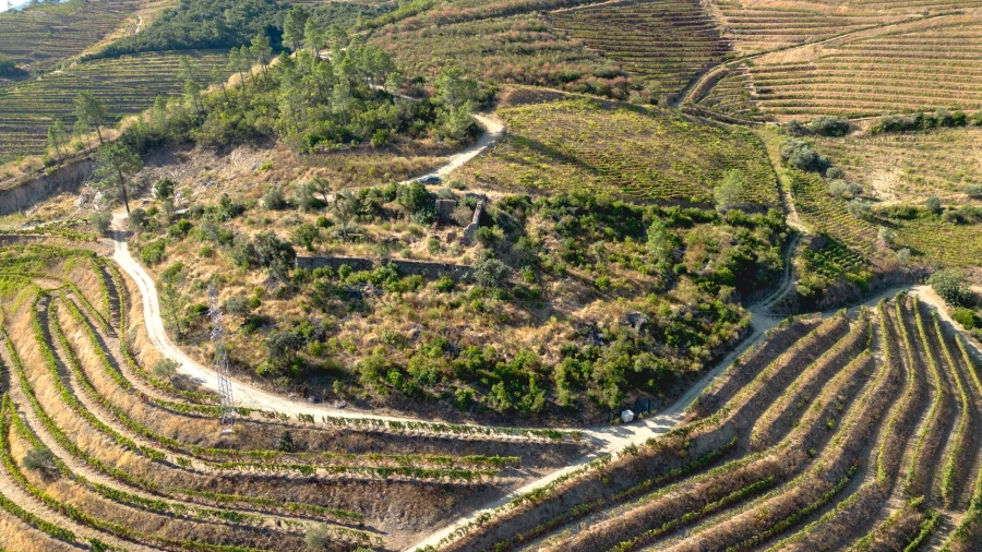 Terreno para Venda em Vila Seca e Santo Adrião Foto 15