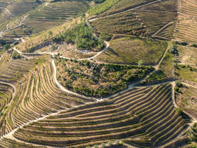 Terreno para Venda em Vila Seca e Santo Adrião Foto 7