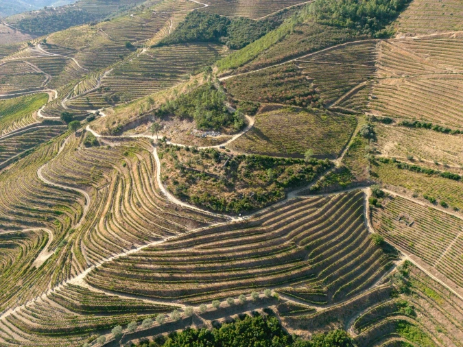 Terreno para Venda em Vila Seca e Santo Adrião Foto 5