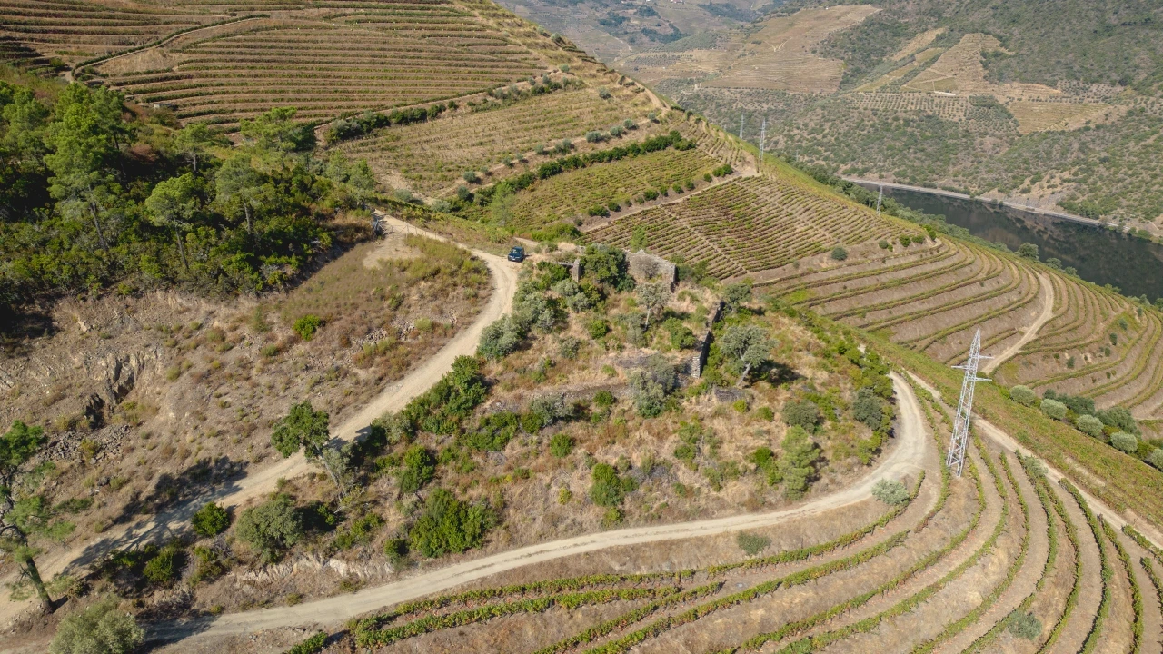 Terreno para Venda em Vila Seca e Santo Adrião Foto 17