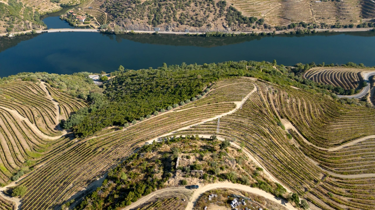 Terreno para Venda em Vila Seca e Santo Adrião Foto 3
