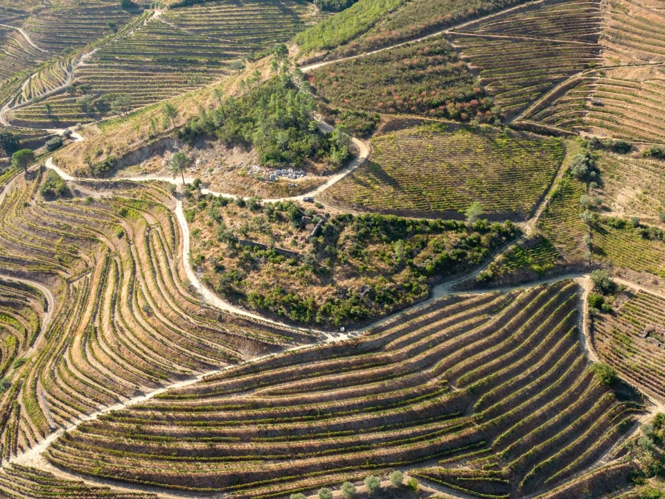 Terreno para Venda em Vila Seca e Santo Adrião Foto 7