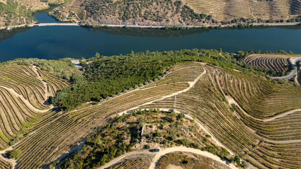 Terreno para Venda em Vila Seca e Santo Adrião Foto 11