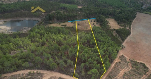 Terreno Agricola ou Rústico para Venda em Penamacor