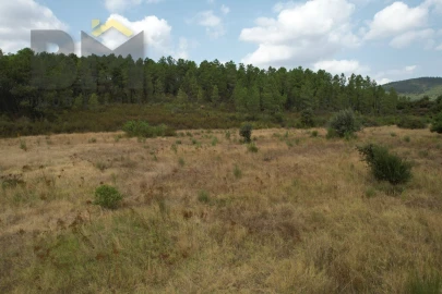 Terreno Agricola ou Rústico para Venda em Penamacor