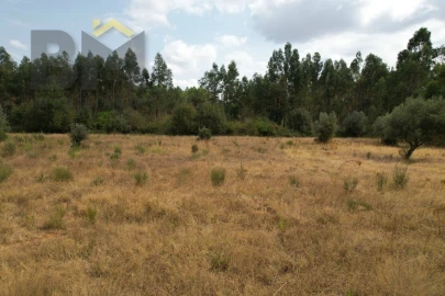 Terreno Agricola ou Rústico para Venda em Penamacor