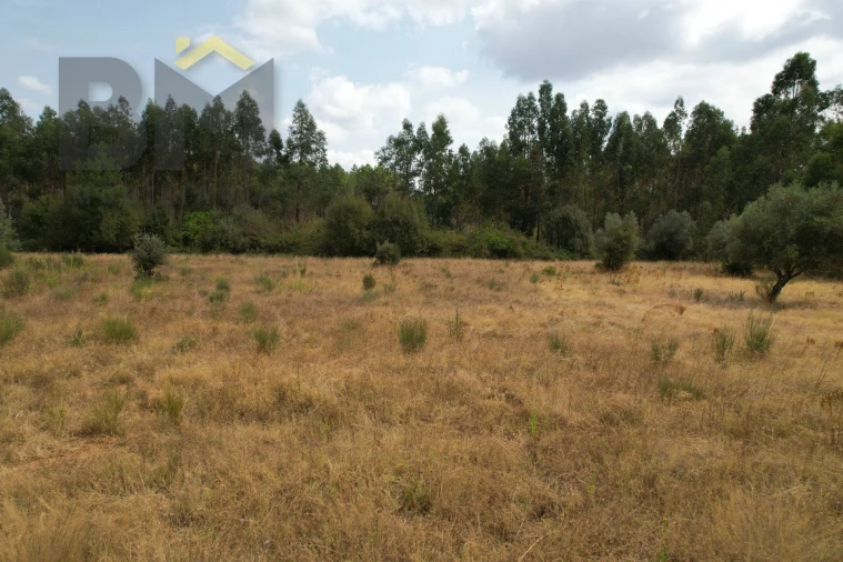 Terreno Agricola ou Rústico para Venda em Penamacor Foto 4