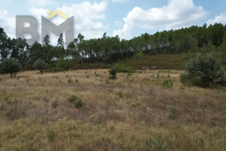 Terreno Agricola ou Rústico para Venda em Penamacor Foto 3
