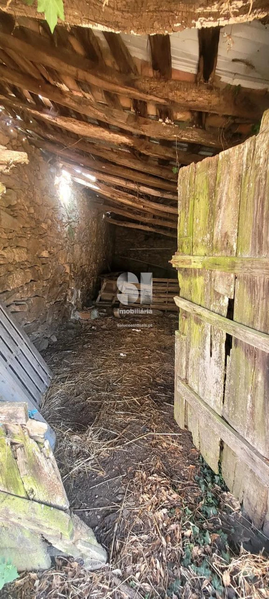 Moradia para Venda em São Martinho de Antas e Paradela de Guiães Foto 11