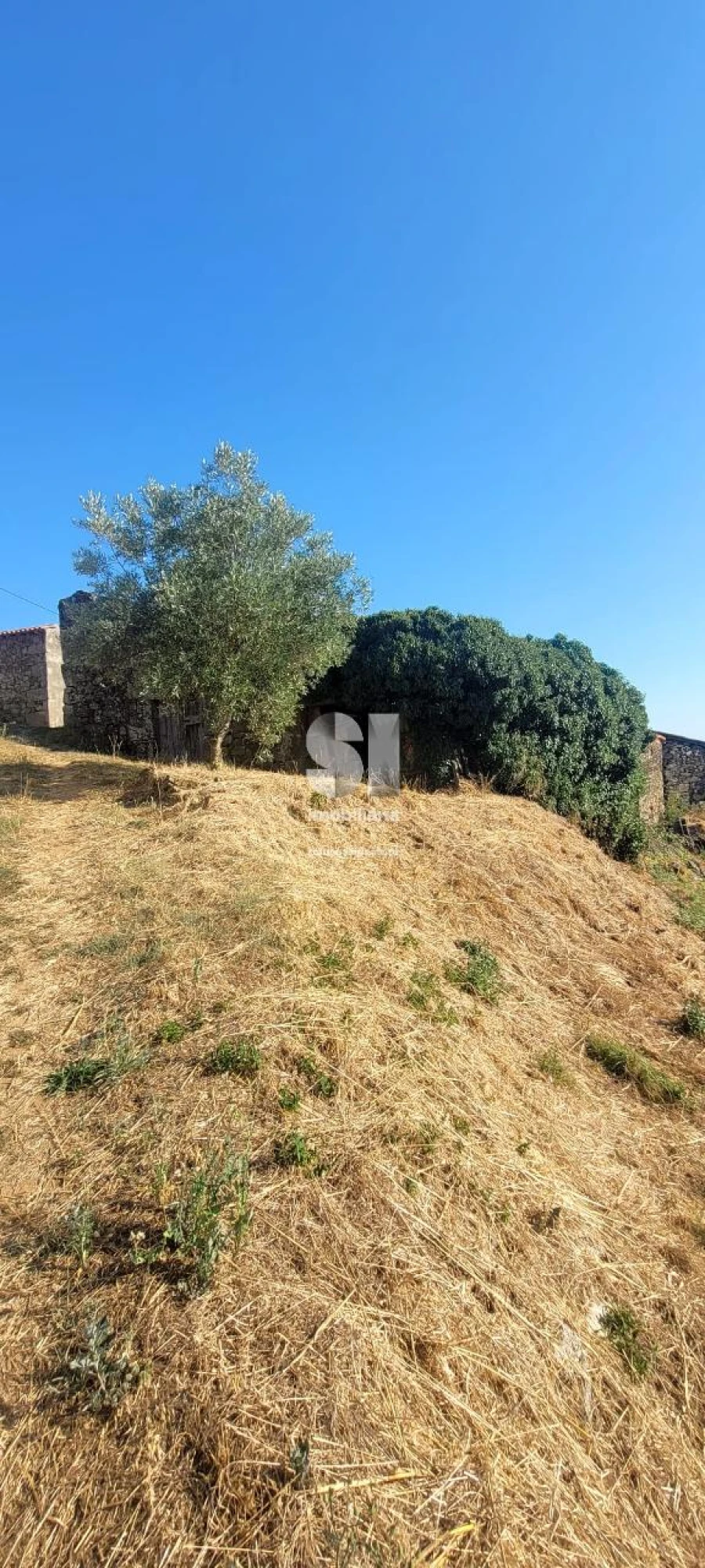 Moradia para Venda em São Martinho de Antas e Paradela de Guiães Foto 12