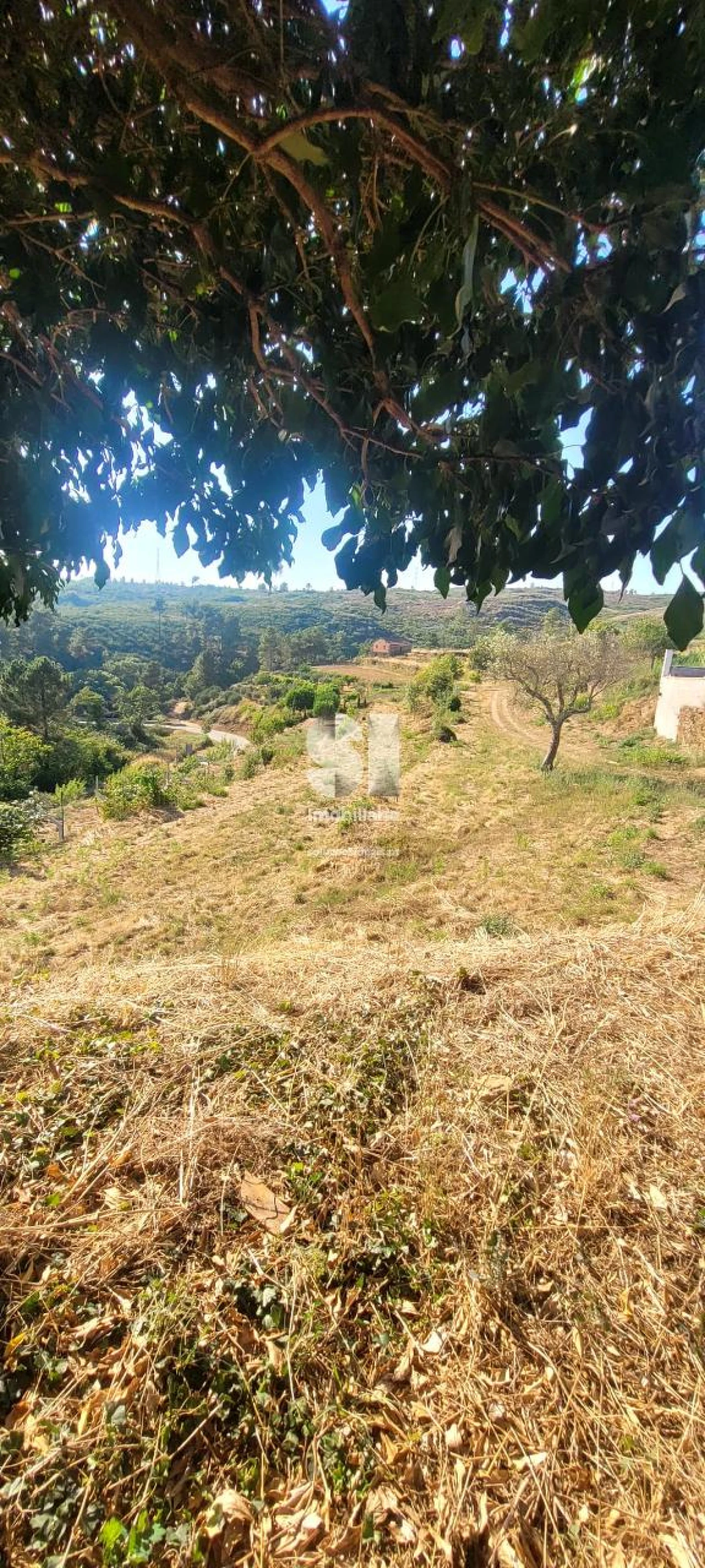 Moradia para Venda em São Martinho de Antas e Paradela de Guiães Foto 10
