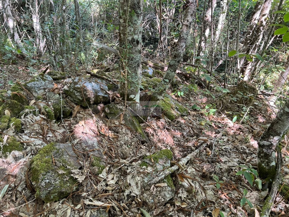 Quinta para Venda em Sambade Foto 7